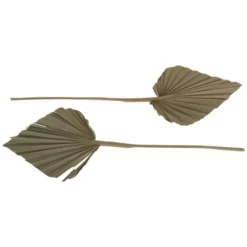 DIJK NATURAL COLLECTIONS Deko-Objekt, Holz, Natur