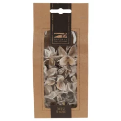 DIJK NATURAL COLLECTIONS Deko-Objekt, Holz, Weiß