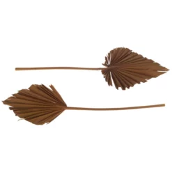 DIJK NATURAL COLLECTIONS Deko-Objekt, Holz, Apricot