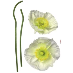 Dekosticker, Pavot Blanc, BxL: 50 X 70 Cm