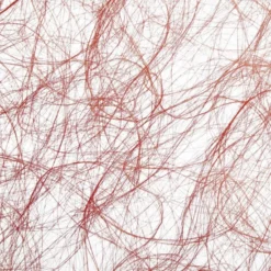 DIJK NATURAL COLLECTIONS Vlies, 30 X 300cm, Rot