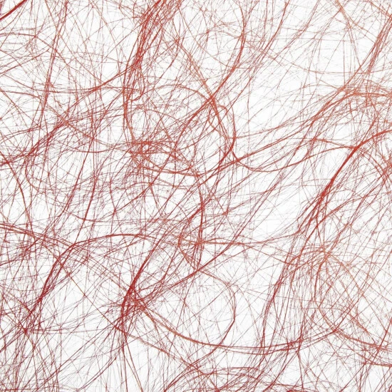 DIJK NATURAL COLLECTIONS Vlies, 30 X 300cm, Rot 3 DIJK NATURAL COLLECTIONS Vlies, 30 X 300cm, Rot