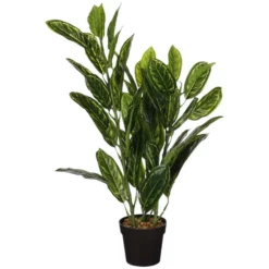 Mica® Decorations Kunstpflanze, Calathea, 1 Stück