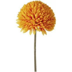 BOLTZE Stielblume »Allium«, Stielblume, Bunt -Wohnen Wohndeko Verkäufe unnamed file 5035