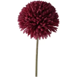 BOLTZE Stielblume »Allium«, Stielblume, Bunt -Wohnen Wohndeko Verkäufe unnamed file 5037