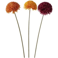 BOLTZE Stielblume »Allium«, Stielblume, Bunt -Wohnen Wohndeko Verkäufe unnamed file 5038