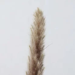 Dekozweig, Natur -Wohnen Wohndeko Verkäufe unnamed file 5046