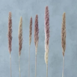 Dekozweig, Natur -Wohnen Wohndeko Verkäufe unnamed file 5048