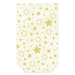 Braun Folienbeutel, Transparent, 10 Stück