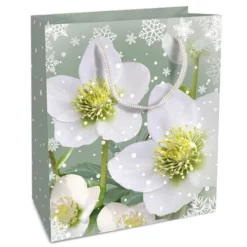 Braun Geschenktasche, Mint, 1 Stück