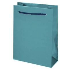 Braun Geschenktasche, Türkis, 1 Stück