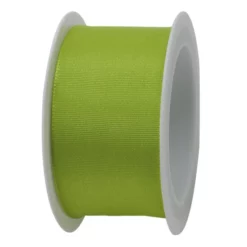 Braun + Company Geschenkband, Taft, Länge: 200 Cm, Hellgrün