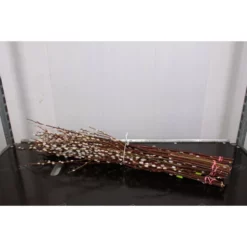 Schnittholz »Weidenkätzchen«