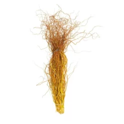 Schnittholz »Korkenzieherweide«, Braun