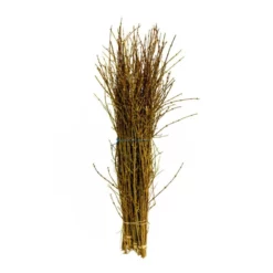 Schnittholz »Forsythien«