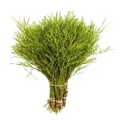 Schnittholz »Heidelbeerzweige«