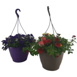 Beet- Und Balkonpflanzen, »Blooming Joy«, Mit Blüten