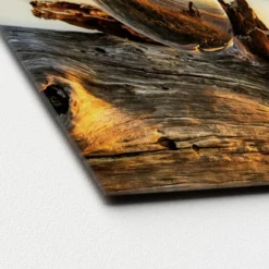 Pro_Art_Bilderpalette Glasbild »Drop On Wood«, Mehrfarbig, Digitaldruck -Wohnen Wohndeko Verkäufe unnamed file 5826