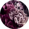 Pro_Art_Bilderpalette Glasbild »Baroque Flowers VI«, Mehrfarbig, Digitaldruck