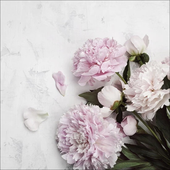 Pro_Art_Bilderpalette Glasbild »Frühlingsblumen«, Mehrfarbig, Digitaldruck 3 Pro_Art_Bilderpalette Glasbild »Frühlingsblumen«, Mehrfarbig, Digitaldruck