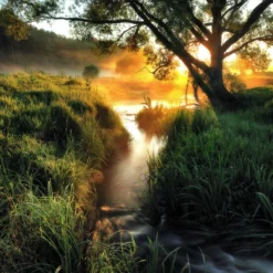 Pro_Art_Bilderpalette Glasbild »Misty Landscape II«, Mehrfarbig, Digitaldruck