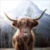 Pro_Art_Bilderpalette Glasbild »Scottish Highland Cattle I«, Mehrfarbig, Digitaldruck 2 Pro_Art_Bilderpalette Glasbild »Scottish Highland Cattle I«, Mehrfarbig, Digitaldruck -Wohnen Wohndeko Verkäufe unnamed file 5879