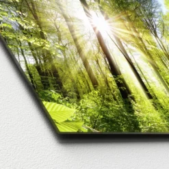 Pro_Art_Bilderpalette Glasbild »Towards The Sun«, Mehrfarbig, Digitaldruck -Wohnen Wohndeko Verkäufe unnamed file 5915