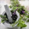 Pro_Art_Bilderpalette Glasbild »herbage Pestle II«, Mehrfarbig, Digitaldruck -Wohnen Wohndeko Verkäufe unnamed file 5936