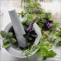 Pro_Art_Bilderpalette Glasbild »herbage Pestle II«, Mehrfarbig, Digitaldruck