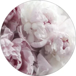 Pro_Art_Bilderpalette Glasbild »Peonies II«, Mehrfarbig, Digitaldruck