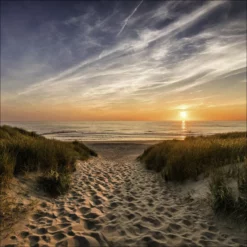 Pro_Art_Bilderpalette Glasbild »Weg Zum Strand«, Mehrfarbig, Digitaldruck