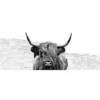Pro_Art_Bilderpalette Glasbild »Scott.Highland Cattle Ll«, Mehrfarbig, Digitaldruck -Wohnen Wohndeko Verkäufe unnamed file 5990