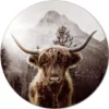 Pro_Art_Bilderpalette Glasbild »Scottish Highland Cattle«, Mehrfarbig, Digitaldruck 2 Pro_Art_Bilderpalette Glasbild »Scottish Highland Cattle«, Mehrfarbig, Digitaldruck -Wohnen Wohndeko Verkäufe unnamed file 6015
