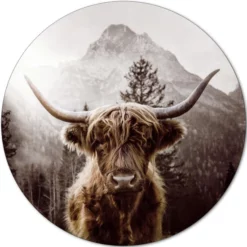 Pro_Art_Bilderpalette Glasbild »Scottish Highland Cattle«, Mehrfarbig, Digitaldruck