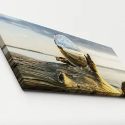 Pro_Art_Bilderpalette Keilrahmenbild »Drop On Wood«, Rahmen: Holzwerkstoff, Natur -Wohnen Wohndeko Verkäufe unnamed file 6110