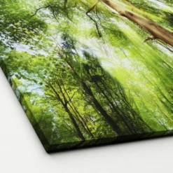 Pro_Art_Bilderpalette Keilrahmenbild »Towards The Sun«, Rahmen: Holzwerkstoff, Natur -Wohnen Wohndeko Verkäufe unnamed file 6114