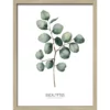 Pro_Art_Bilderpalette Gerahmtes Bild »Different Eucalyptus Branches Ll«, Rahmen: Holzwerkstoff, Natur -Wohnen Wohndeko Verkäufe unnamed file 6126