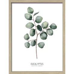 Pro_Art_Bilderpalette Gerahmtes Bild »Different Eucalyptus Branches Ll«, Rahmen: Holzwerkstoff, Natur