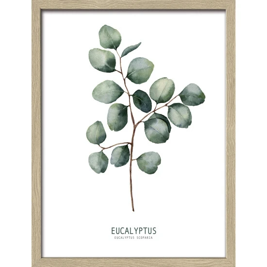Pro_Art_Bilderpalette Gerahmtes Bild »Different Eucalyptus Branches Ll«, Rahmen: Holzwerkstoff, Natur 3 Pro_Art_Bilderpalette Gerahmtes Bild »Different Eucalyptus Branches Ll«, Rahmen: Holzwerkstoff, Natur