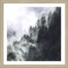 Pro_Art_Bilderpalette Gerahmtes Bild »Foggy Trees«, Rahmen: Holzwerkstoff, Natur -Wohnen Wohndeko Verkäufe unnamed file 6130