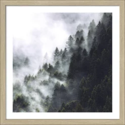 Pro_Art_Bilderpalette Gerahmtes Bild »Foggy Trees«, Rahmen: Holzwerkstoff, Natur