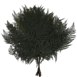 Flowerbox Trockenblumen