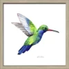 Pro_Art_Bilderpalette Gerahmtes Bild »Green Bird«, Rahmen: Holzwerkstoff, Natur -Wohnen Wohndeko Verkäufe unnamed file 6146