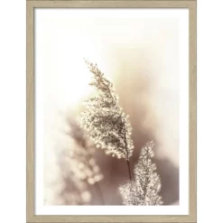 Pro_Art_Bilderpalette Gerahmtes Bild »Dried Fiber«, Rahmen: Holzwerkstoff, Natur