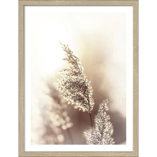 Pro_Art_Bilderpalette Gerahmtes Bild »Dried Fiber«, Rahmen: Holzwerkstoff, Natur 3 Pro_Art_Bilderpalette Gerahmtes Bild »Dried Fiber«, Rahmen: Holzwerkstoff, Natur