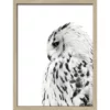 Pro_Art_Bilderpalette Gerahmtes Bild »Snow Owl«, Rahmen: Holzwerkstoff, Natur -Wohnen Wohndeko Verkäufe unnamed file 6155