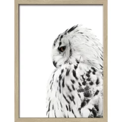 Pro_Art_Bilderpalette Gerahmtes Bild »Snow Owl«, Rahmen: Holzwerkstoff, Natur