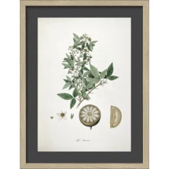 Pro_Art_Bilderpalette Gerahmtes Bild »Stone Apple«, Rahmen: Holzwerkstoff, Natur