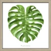 Pro_Art_Bilderpalette Gerahmtes Bild »Green Leaf«, Rahmen: Holzwerkstoff, Natur -Wohnen Wohndeko Verkäufe unnamed file 6215