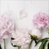 Pro_Art_Bilderpalette Keilrahmenbild »Peonies Ll«, Rahmen: Holzwerkstoff, Natur